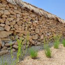 스테이오로지 이미지