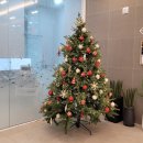 일광치과기공소 이미지