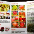 한돌 농원 이미지