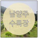 선산IC입구 | 남양주 수목장 가격 비교하고 현장 직접 다녀온 솔직 후기