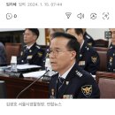 ‘이태원 참사’ 서울경찰청장·용산소방서장 오늘 檢수사심의위 이미지