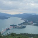 세움부동산중개법인주식회사 이미지