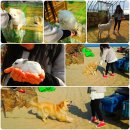 별마로농장 이미지