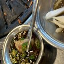 명성고깃집 장유 | 장유 고기 맛집 특수부위를 즐길수 있는 명성고깃집 장유점 후기