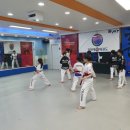 석사 경희대 효 태권도 이미지