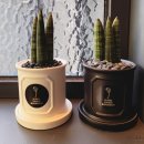 향촌점 현대자동차 | 광주 화정동 분위기 좋은 숨은 맛집 | 광주 파스타맛집 - 재방문의사 백프로 !!