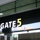 제주포도 이미지