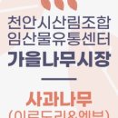 빨간사과유통
