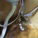 동김해내과의원 이미지