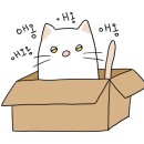 귀염둥이어린이집 이미지
