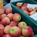 우리공판장 이미지