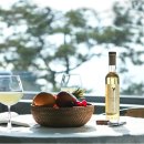 썬댄스펜션 이미지