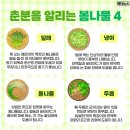 3월 20일(금) 오늘은 낮과 밤 길이가 같은 24절기 4번째 '춘분(春分)' 이미지