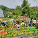 명덕초교병설유치원 이미지