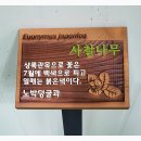 대산성모의원 이미지