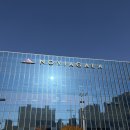 그린앤화이트 | 노비아갈라 동촌 포레아홀 대구 웨딩홀 투어 주차 뷔페 답례품 견적