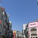 삼미리 펫 모범택시 | [국내] 3월 부산 여행 1박2일