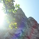 석남농장 이미지