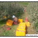 하촌1리 이미지