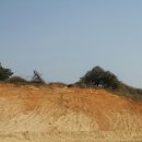 우리들 농장 이미지