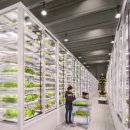 제강농장 이미지