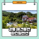 펜션 55 | 강릉 애견동반 독채 파인힐 펜션 - 숙박비 55% 할인 받고 예약한 내돈내산 후기