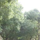 [대학탐방] 제주대학교 - 1부 이미지