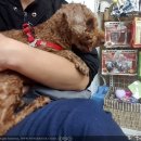 남창원동물병원 이미지