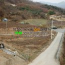 백옥동농장 네이버블로그