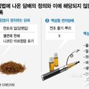 국회전자담배