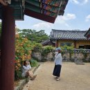 부산-김해경전철(주) | 김해 능소화 명소 수로왕릉 방문 후기