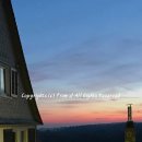 프롬디(FROM:D) 이미지