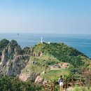 비진도수산 Daum카페
