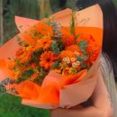 초록화원 이미지