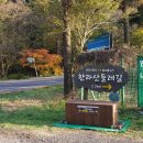 한라산둘레길 돌오름길 이미지