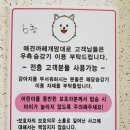 개맘대로 | 원주 애견카페 개맘대로 : 내돈내산 기업도시 늦은후기;: