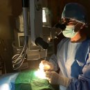 휴안과동물병원 이미지