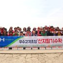 종합 카 쎈타 이미지