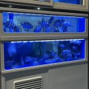 명지횟집 | 부산 강서구 명지 횟집 해심 솔직후기ㅣ푸짐한 밑반찬과 두꺼운 숙성회 맛집