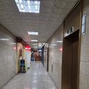 삼공빌딩 | 🌸 어린이집 원장님 퇴직선물로 준비한 꽃바구니 후기｜종각 꽃집 '싱그러운 상점'