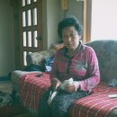 외동시장 이미지