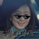 하우츠 이미지