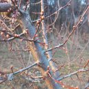 오늘도 뺨따귀 맞으며 이미지