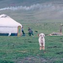 2001아울렛 이미지