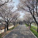 (주)브레인움 이미지