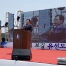 보길면-2 이미지