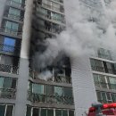 동구-4 이미지