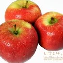 싱싱과일 이미지