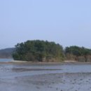 쫑기도