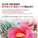 3월 6일(수) 섬&섬"테마 여행~ 거제도 장사도(카멜레온 정원)동백꽃길 트래킹/♡40,000/조중식(찰밥) 28석,36석리무진운행 이미지